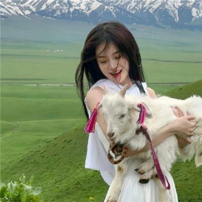 厨房的爱丽丝