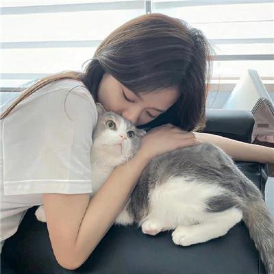 小象守护者